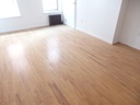 Snall Studio